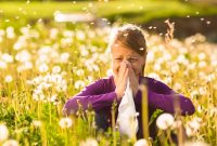 nipping hayfever در جوانه: این گیاهانی هستند که در صورت داشتن آلرژی گرده باید از آنها جلوگیری کنید