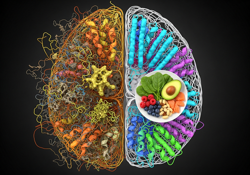 پیری پروتئین‌های مغز رو به هم می‌ریزه؛ اما رژیم غذایی می‌تونه بخشی از این وضعیت رو برگردونه